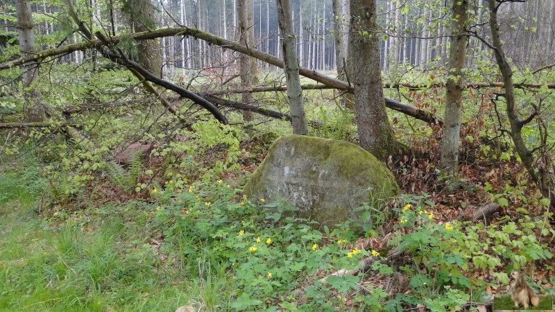 Ritterstein Nr. 192-4a Ruine Roesselbrunner Hof.JPG - Ritterstein Nr.192 Ruine Roesselsbrunner Hof